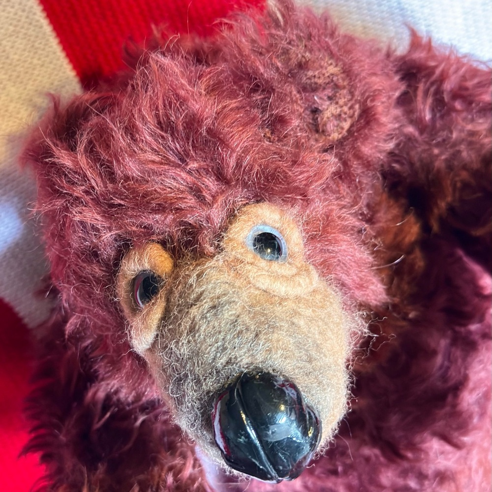 Lemon Wolf Bear - Picture 3 of 6